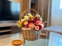 Dristor, Camil Ressu metrou